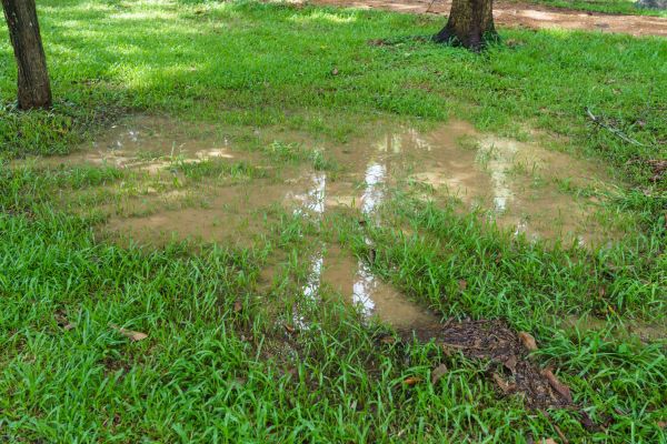 Cost of Storm Water Drainage Service in Richmond
