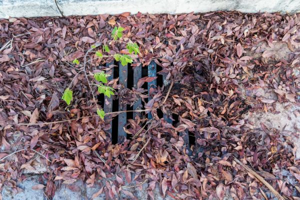 Yard Drain Unclogging in Richmond