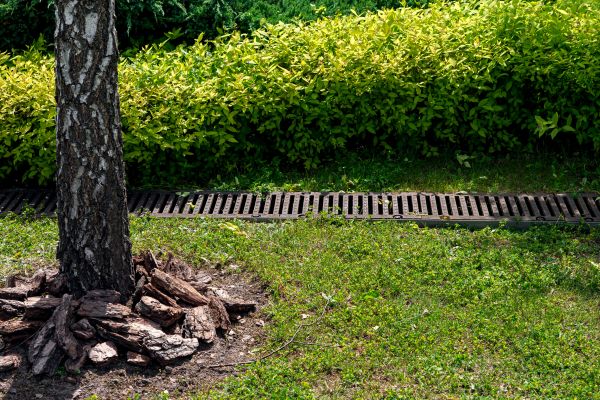 Cost of Yard Water Redirection in Richmond