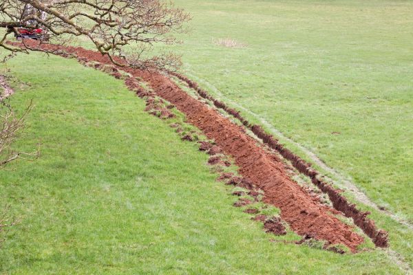 Cost of Swale Installation in Richmond