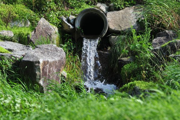 Water Redirection in Richmond
