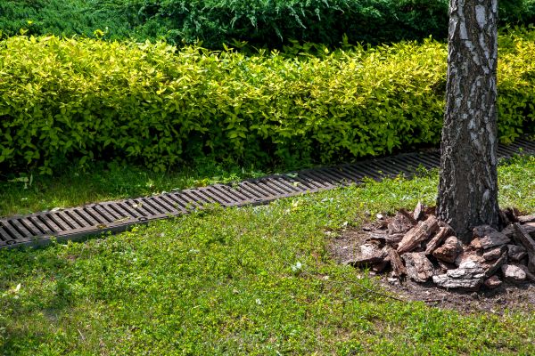 Cost of Residential Landscape Drainage in Richmond