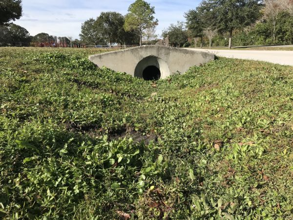 Cost of Swale Drainage Service in Richmond