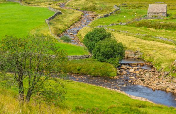 Cost of Swale Repair in Richmond